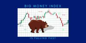 BIG MONEY INDEX IS FALLING FAST