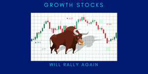 GROWTH STOCKS WILL RALLY AGAIN