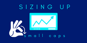 Sizing Up Small Caps