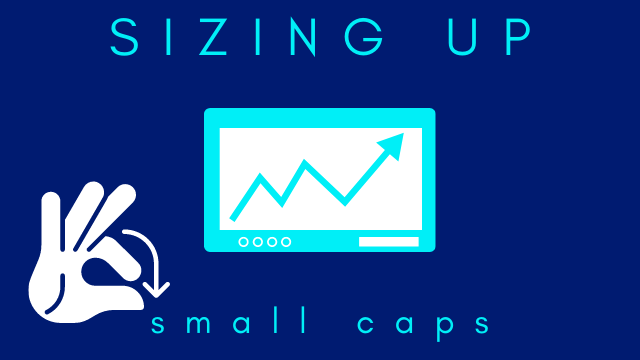 Sizing Up Small Caps