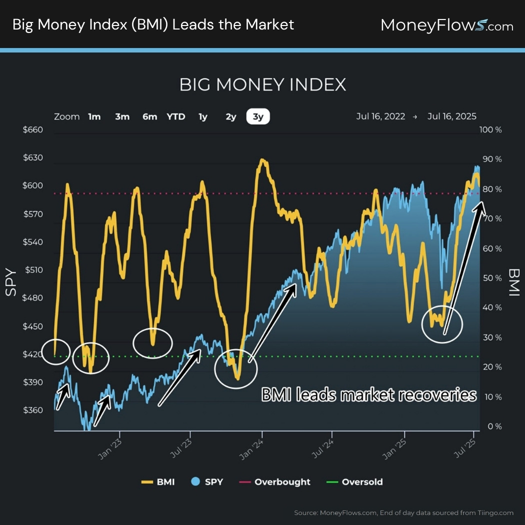 Big Money Index (BMI) Leads the Market | MoneyFlows.com